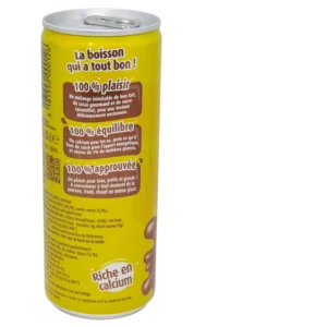 Boisson lactée au lait et au cacao CACOLAC - 6 canettes de 25cL