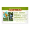 Thé Vert Gingembre Citron Vert Ceylan Bio ETHIQUABLE - 20 sachets