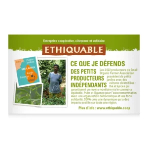 Thé Vert Gingembre Citron Vert Ceylan Bio ETHIQUABLE - 20 sachets