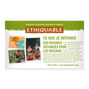 Thé Vert Menthe Vietnam Bio ETHIQUABLE - 20 sachets
