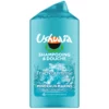 Gel douche Homme Corps Cheveux Minéraux Marins Fraîcheur Intense USHUAIA le flacon de 300mL